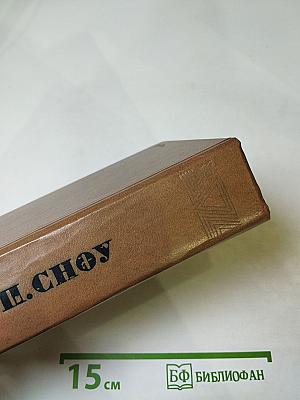 Наставники. Коридоры власти