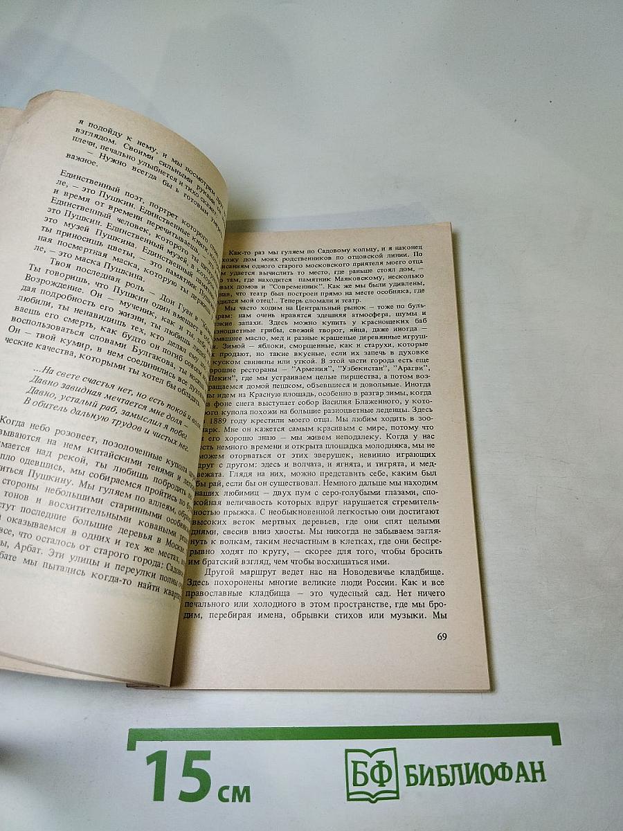 Владимир, или Прерванный полет