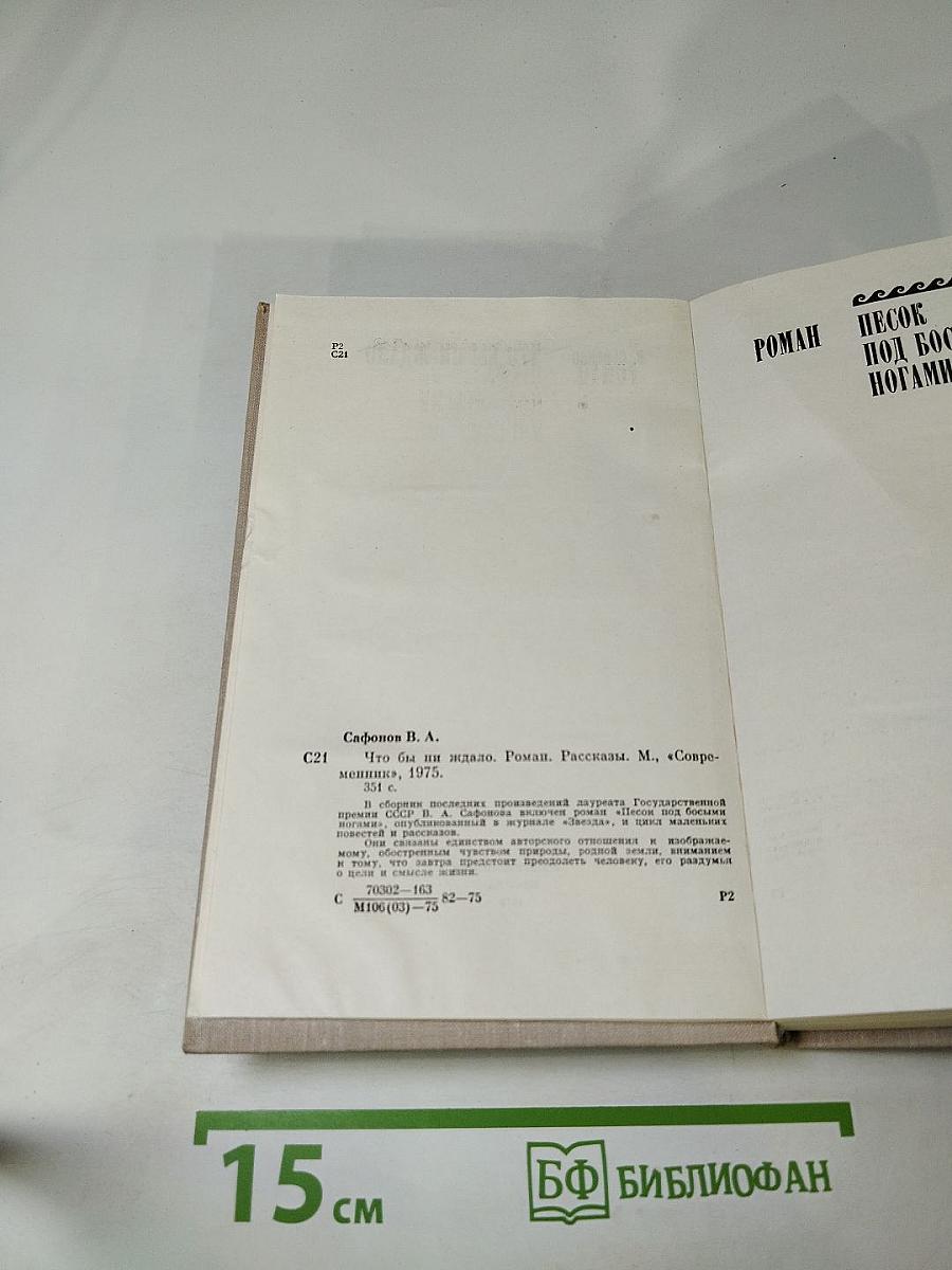 Что бы ни ждало