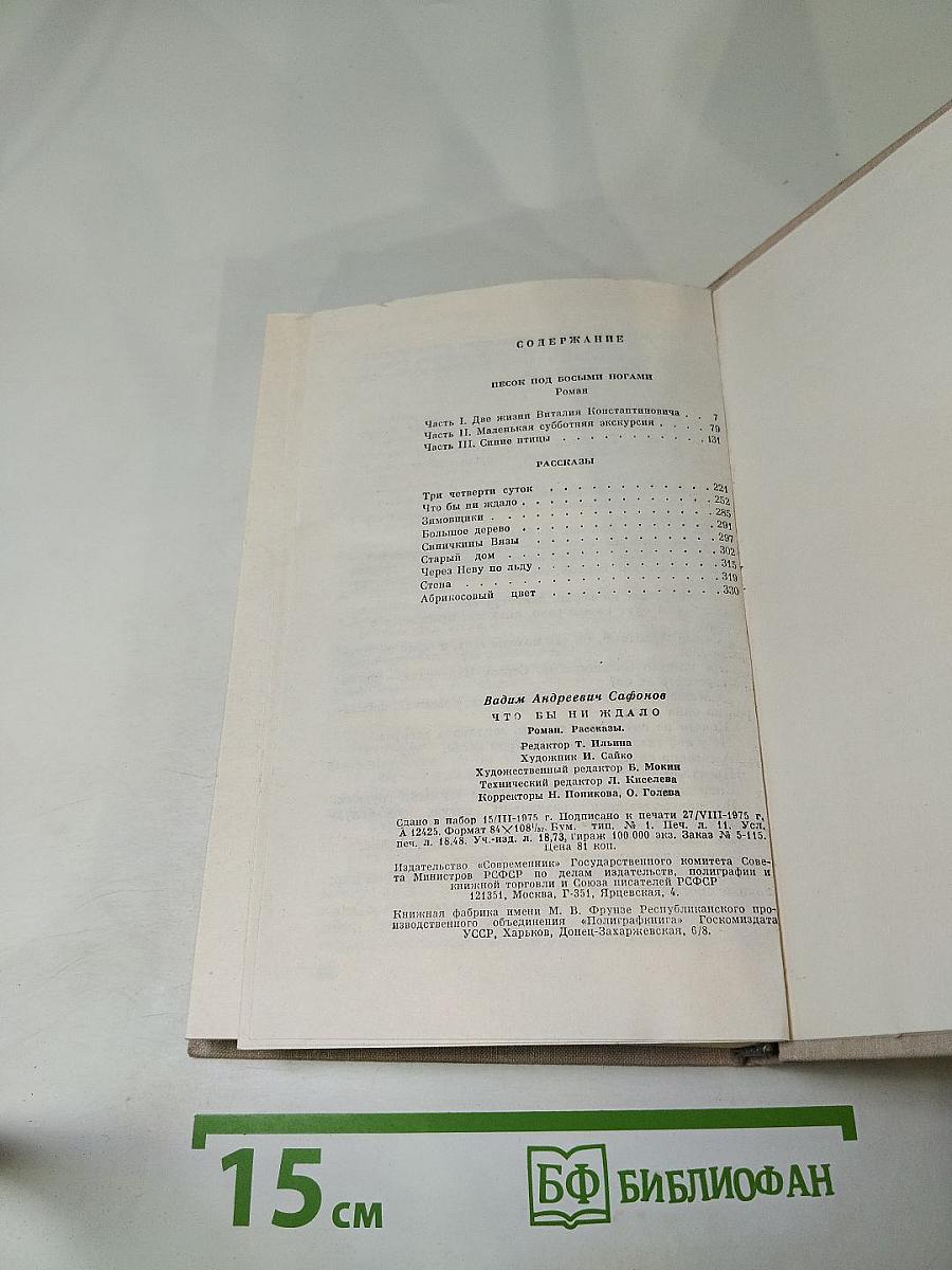 Что бы ни ждало