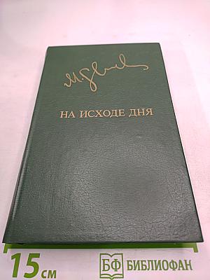 На исходе дня