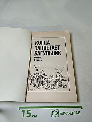 Когда зацветает багульник