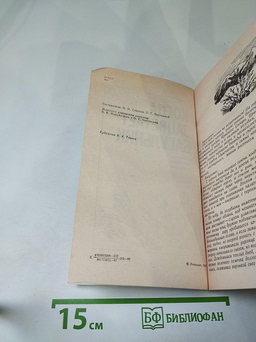 Когда зацветает багульник