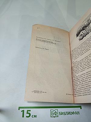 Когда зацветает багульник