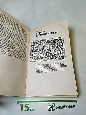 Когда зацветает багульник