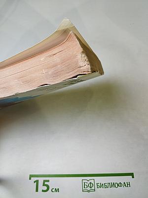 Когда зацветает багульник