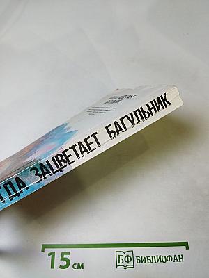 Когда зацветает багульник