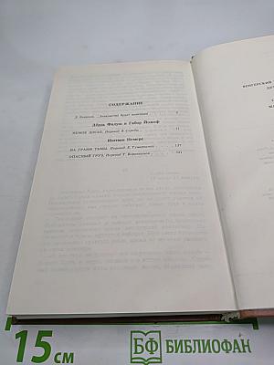 Венгерский политический детектив