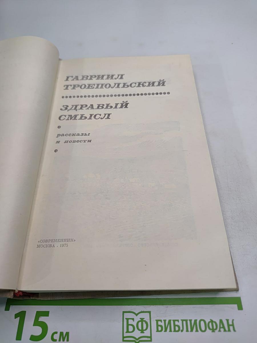 Здравый смысл