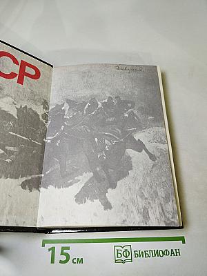 Реввоенсовет Республики