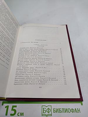 Рассказы. Девяностые годы