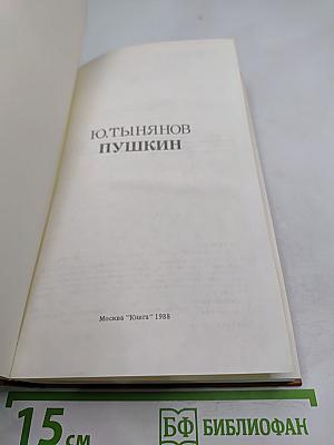 Пушкин