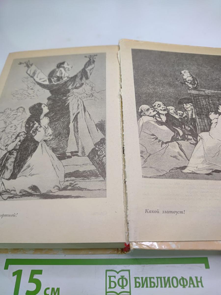 Гойя, или Тяжкий путь познания