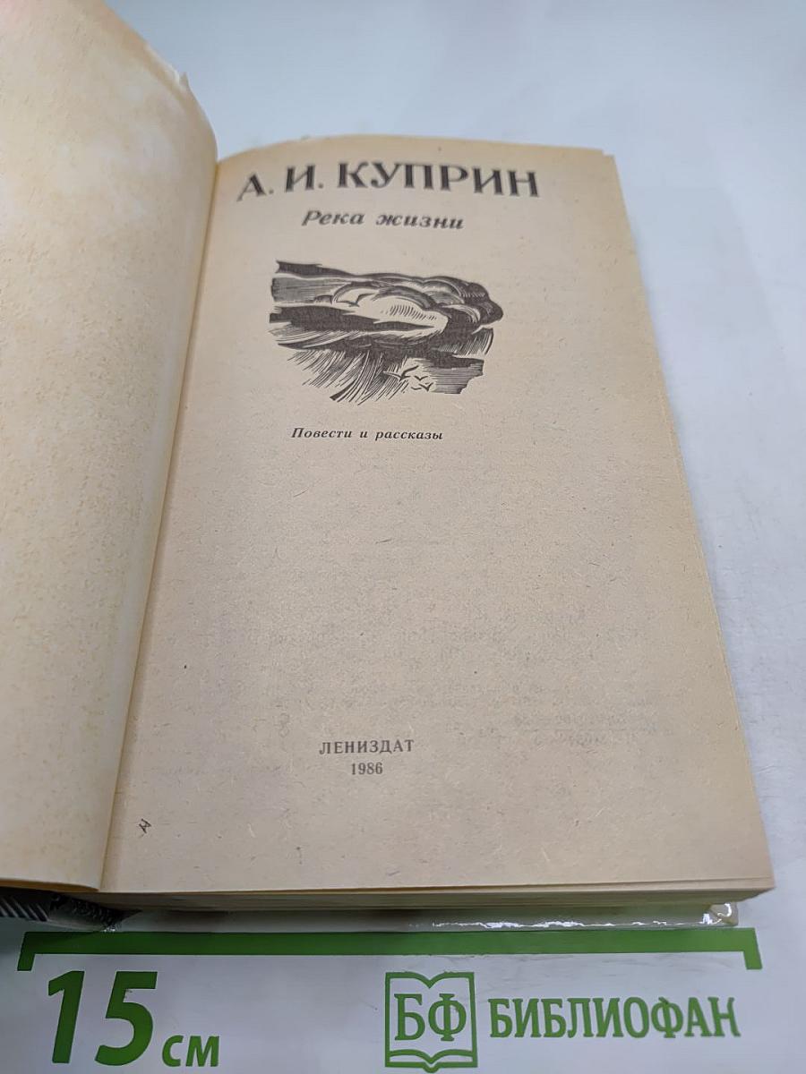 Река жизни: Повести и рассказы