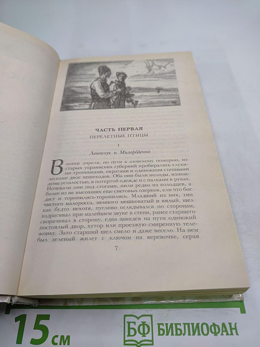 Г.П. Данилевский. Беглые в Новороссии. Воля. Княжна Тараканова