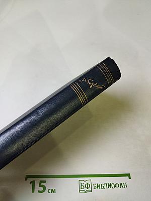 Собрание сочинений. Том 21. Жизнь Клима Самгина