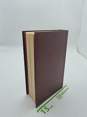 Необыкновенное лето