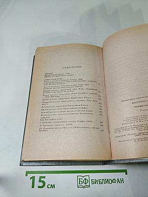 Лунный камень