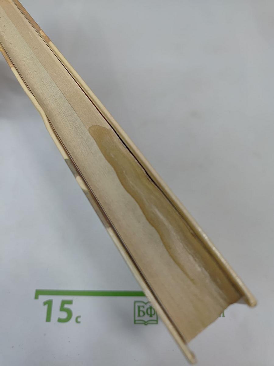 Шпион, или Повесть о нейтральной территории