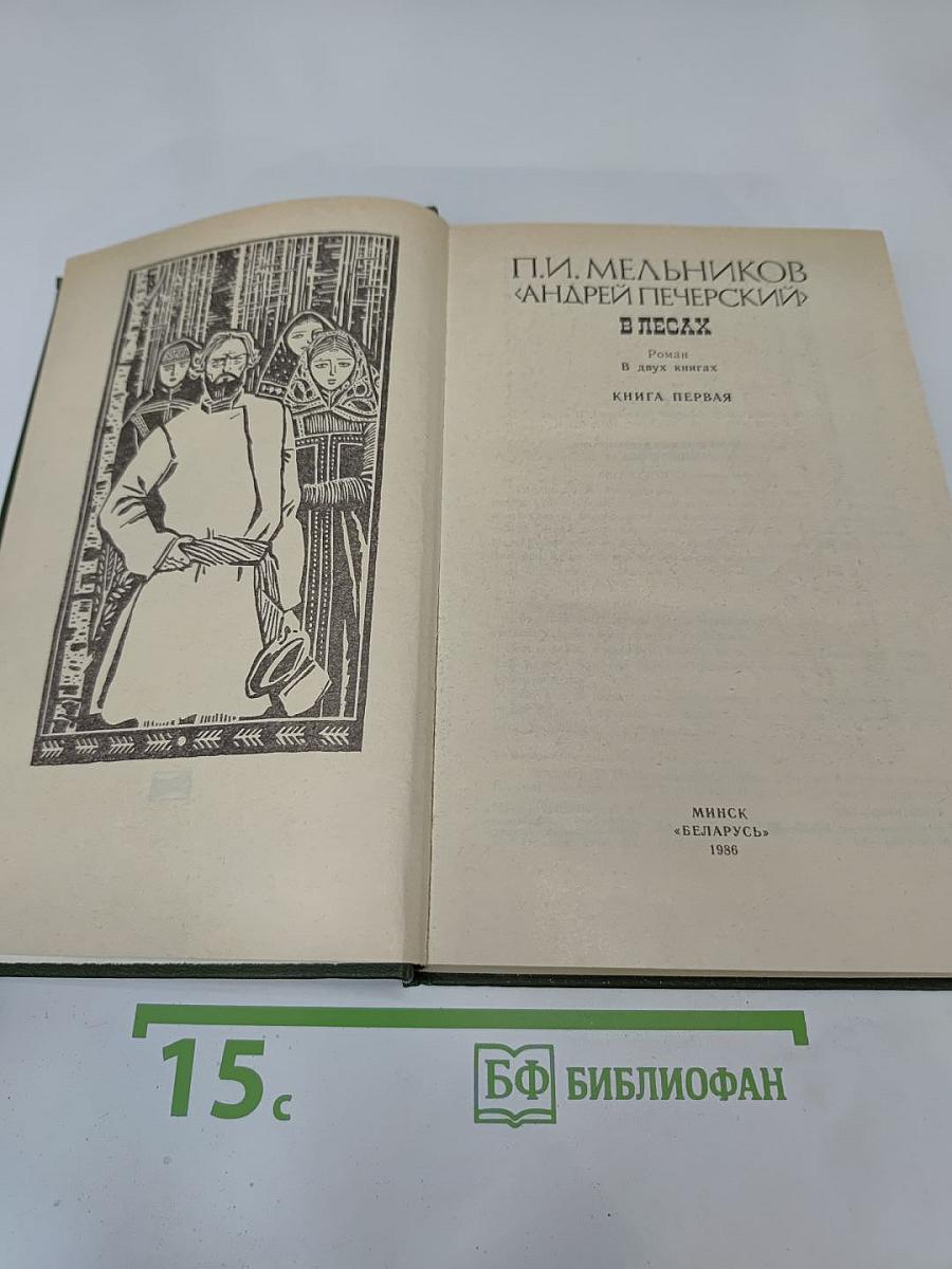 В лесах. Книга первая