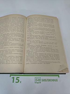 В лесах. Книга первая