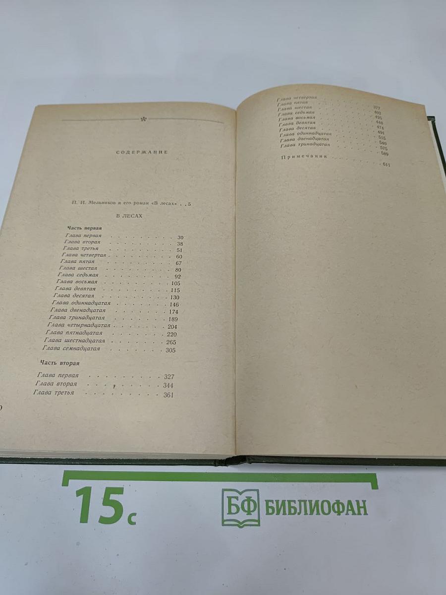 В лесах. Книга первая