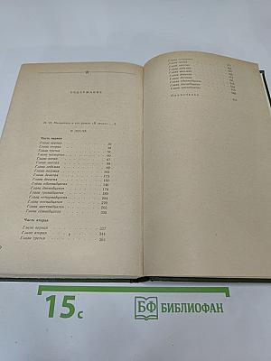 В лесах. Книга первая