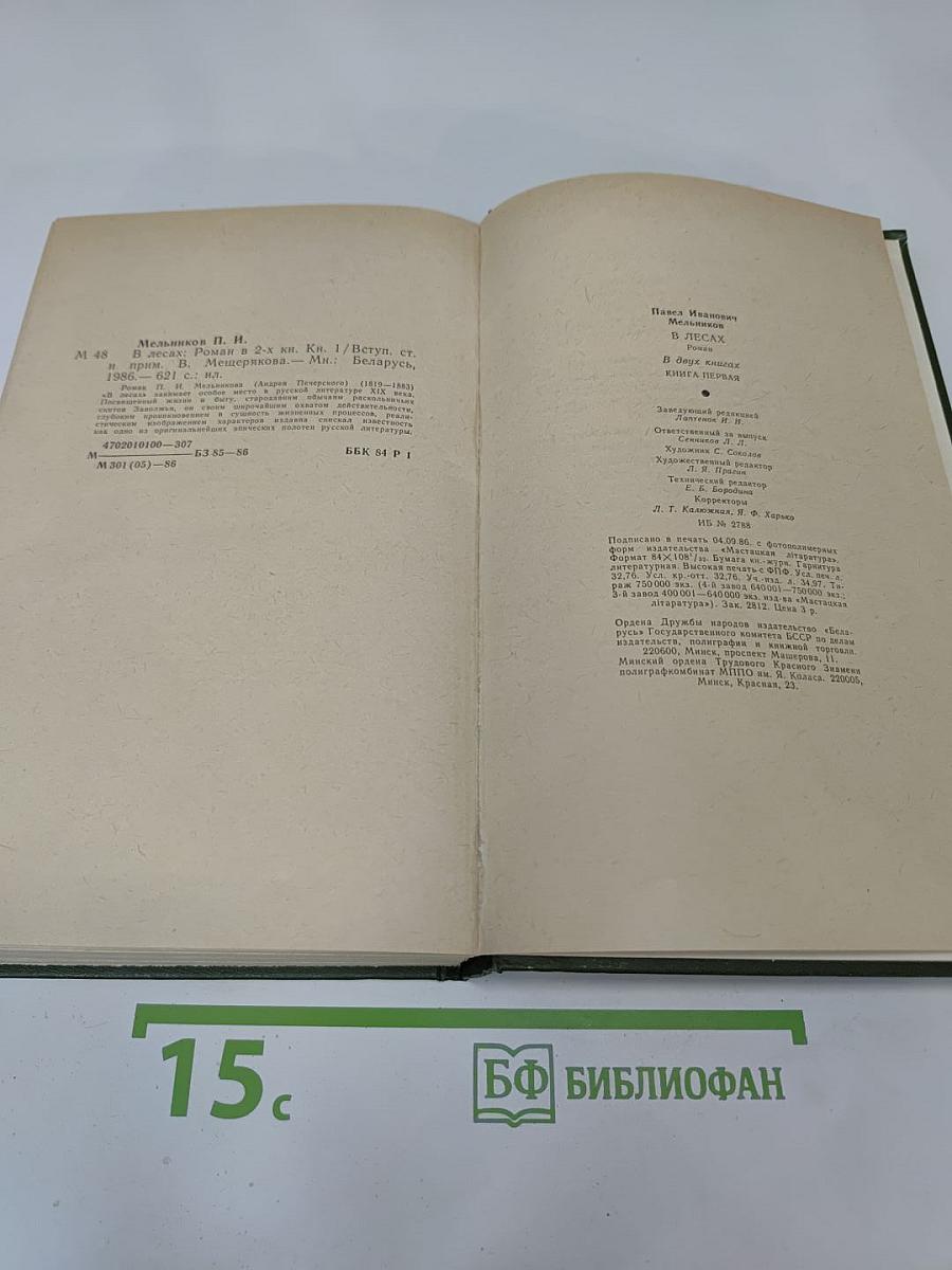 В лесах. Книга первая