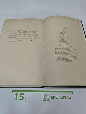 В лесах. Книга первая