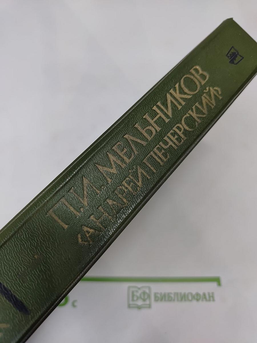 В лесах. Книга первая