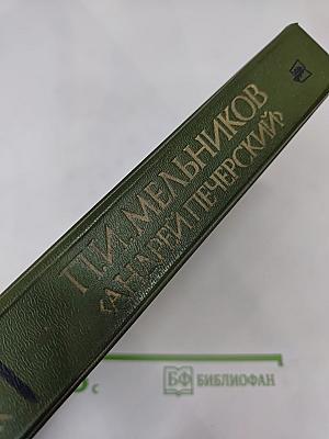 В лесах. Книга первая