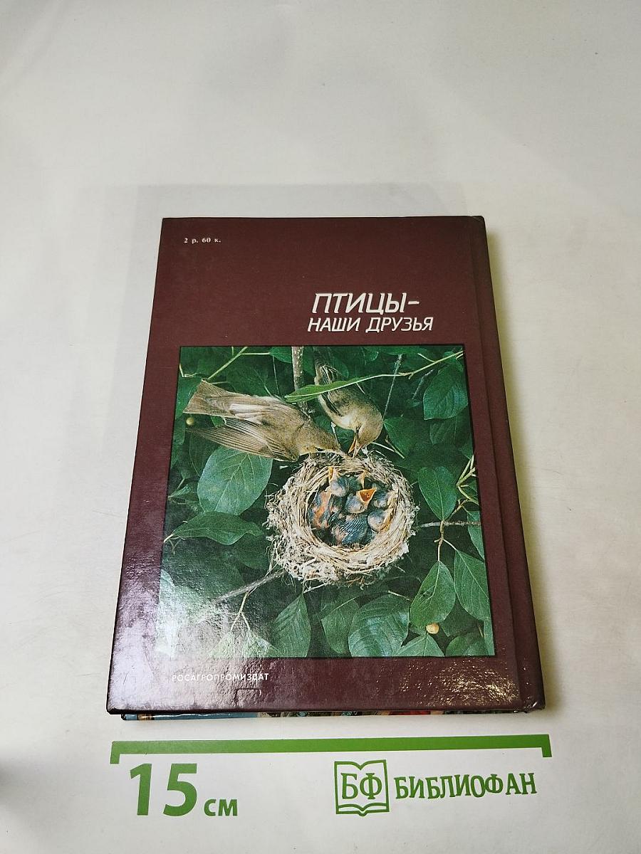 Птицы – наши друзья
