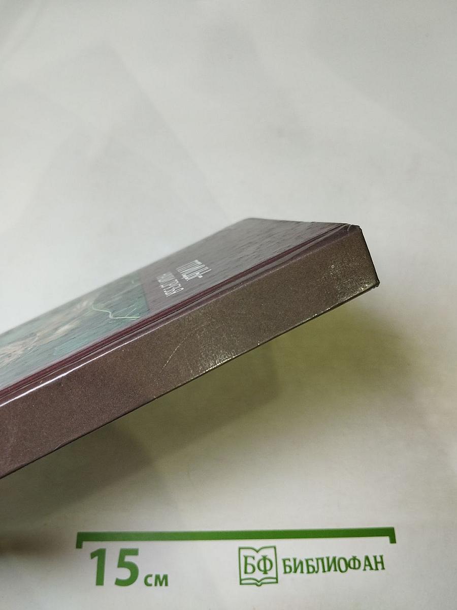 Птицы – наши друзья