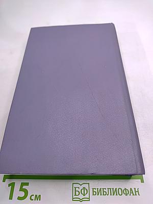 Разин Степан