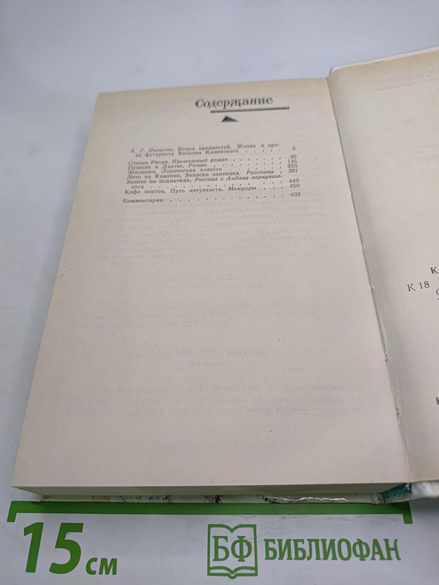 Степан Разин. Пушкин и Дантес. Художественная проза и мемуары