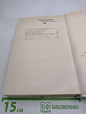 Степан Разин. Пушкин и Дантес. Художественная проза и мемуары