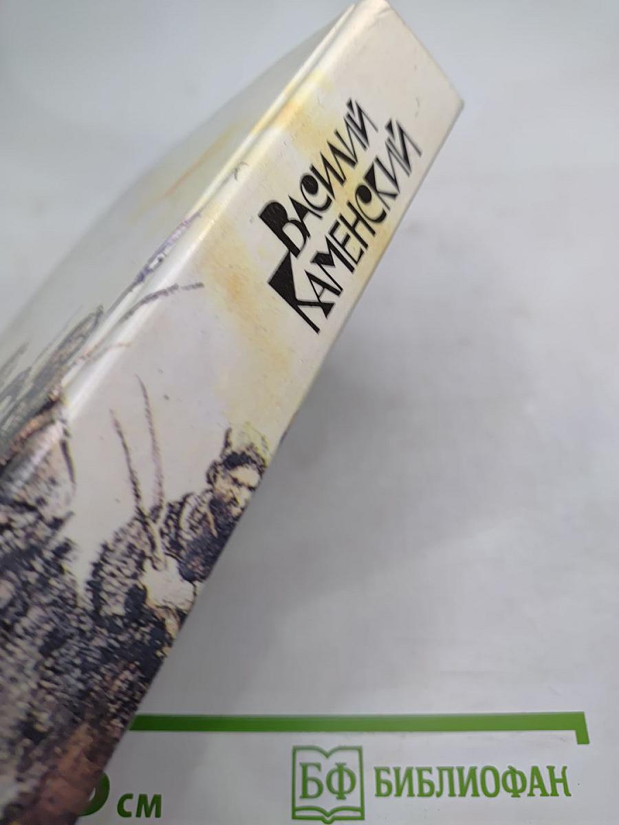 Степан Разин. Пушкин и Дантес. Художественная проза и мемуары