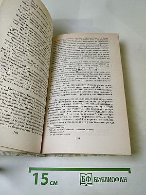 Беглые в Новороссии. Воля. Княжна Тараканова