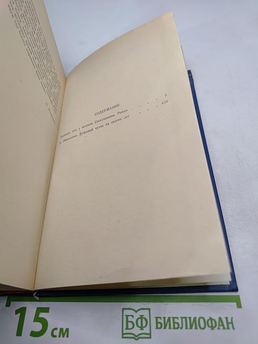 Пионеры, или У истоков Саскуиханны. Кожаный чулок на сходке лет