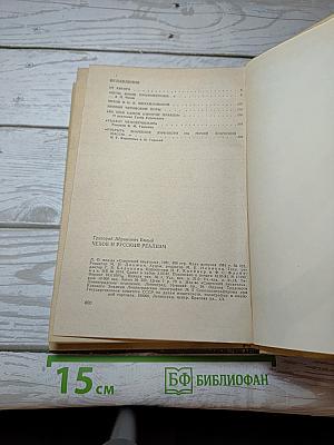 Чехов и русский реализм. Очерки