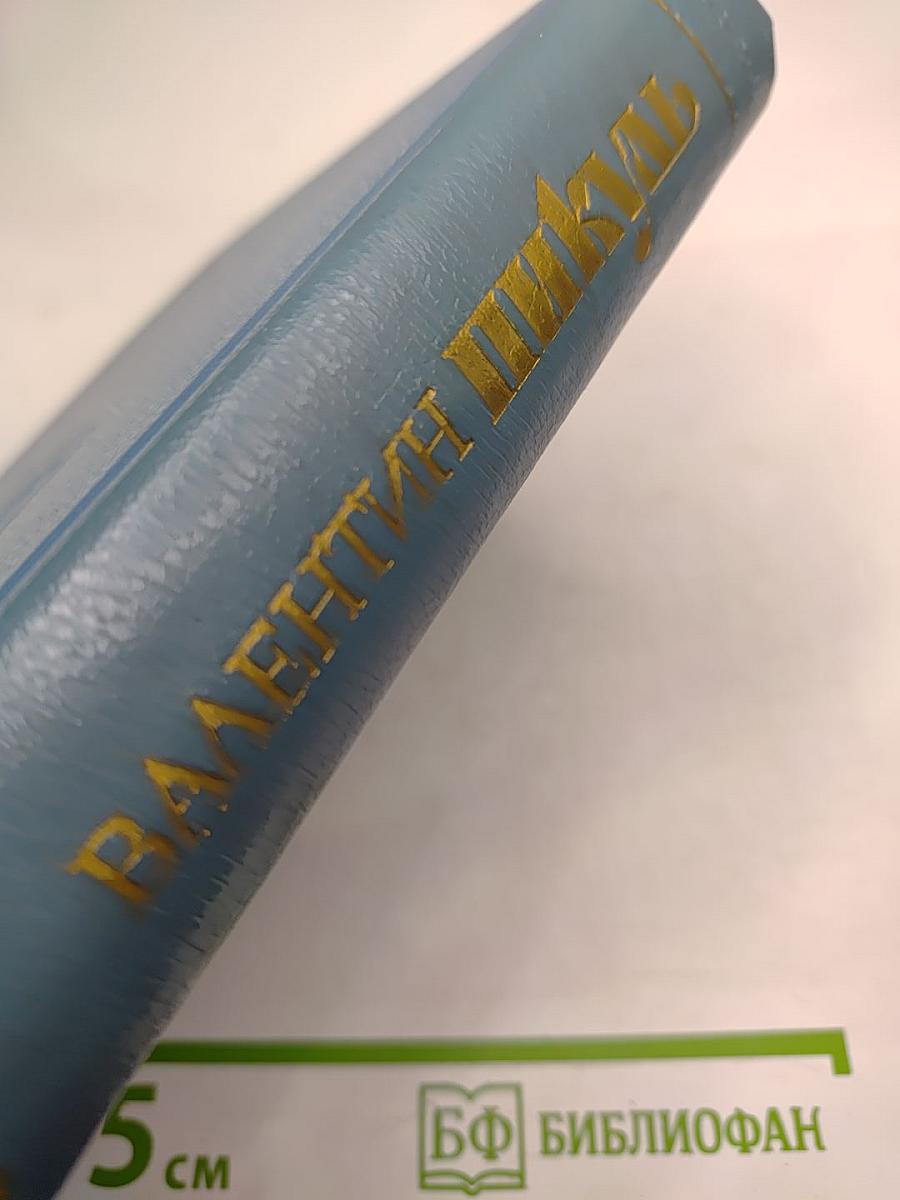 Слово и дело. Книга вторая: Мои любезные конфиденты