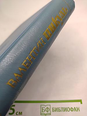 Слово и дело. Книга вторая: Мои любезные конфиденты