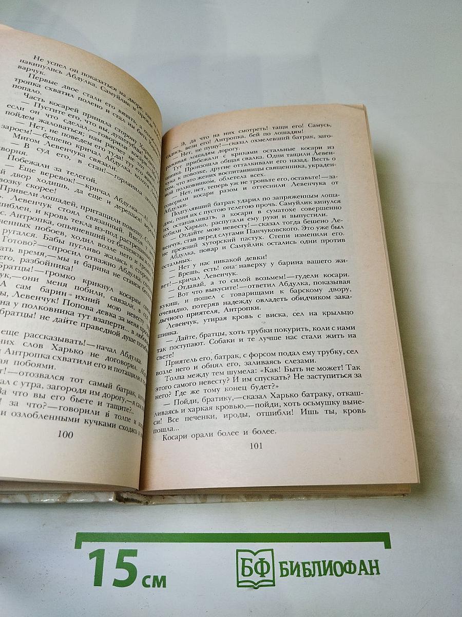 Беглые в Новороссии. Воля. Княжна Тараканова