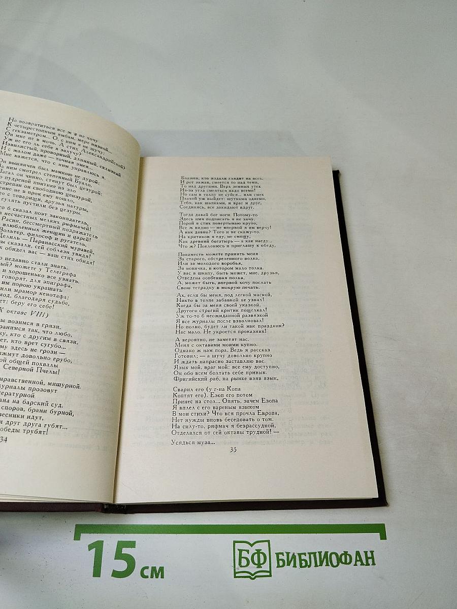 Собрание сочинений. Том 3: Литературная критика