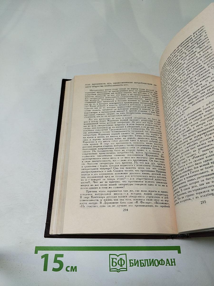 Собрание сочинений. Том 3: Литературная критика