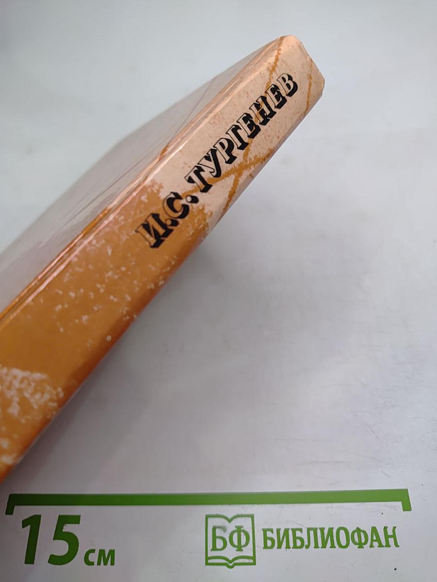 И.С. Тургенев. Сочинения. Поэмы. Повести и рассказы. Из «Литературных и житейских воспоминаний»