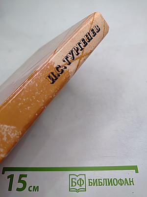 И.С. Тургенев. Сочинения. Поэмы. Повести и рассказы. Из «Литературных и житейских воспоминаний»