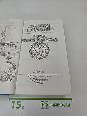 Синь, упавшая в реку. Поэзия. Проза.