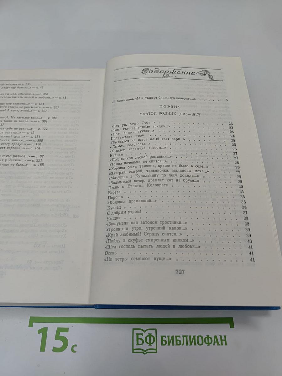 Синь, упавшая в реку. Поэзия. Проза.