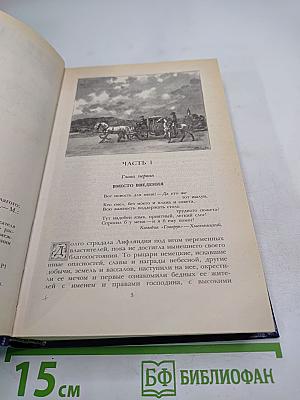 Последний Новик